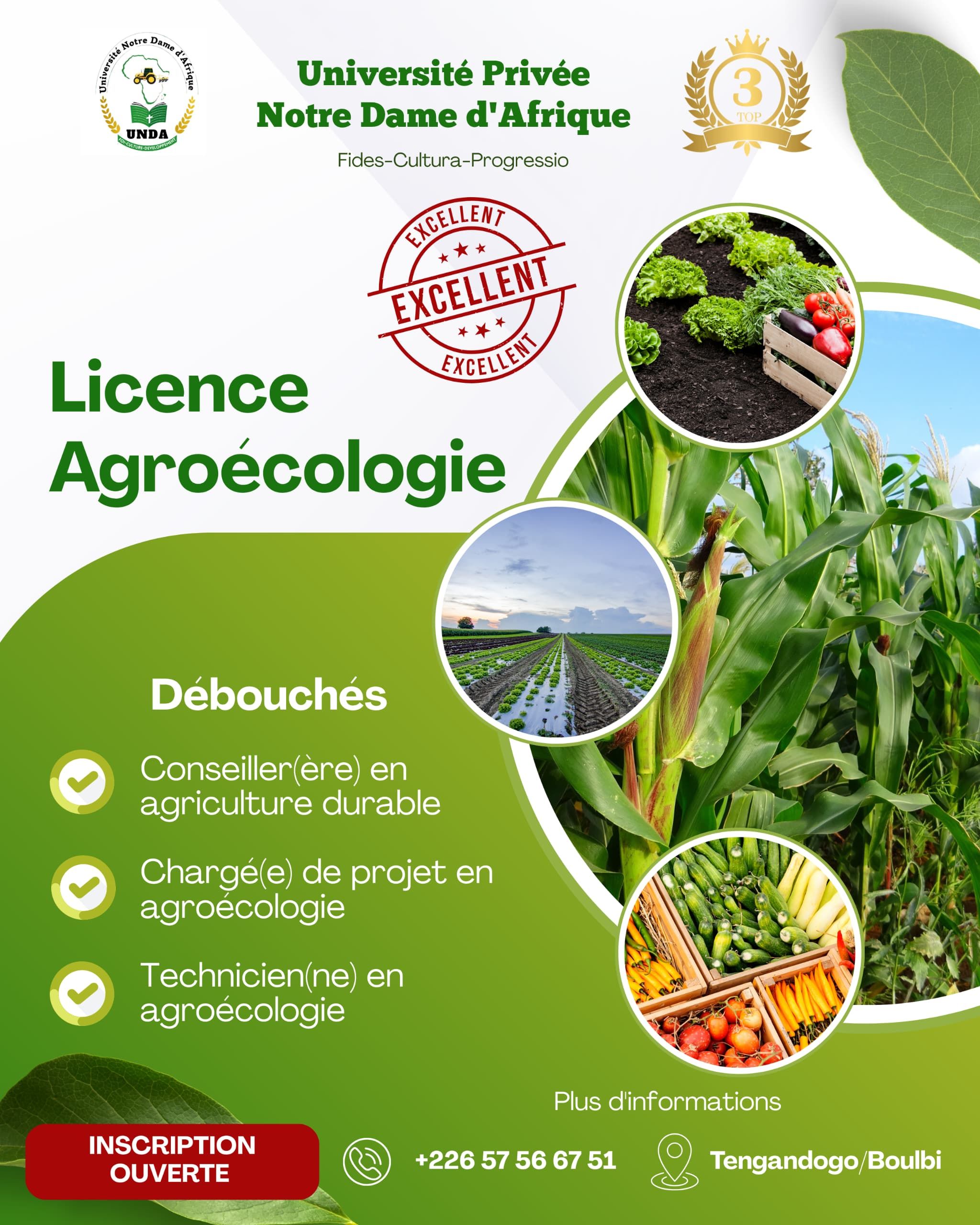 Texte Odoo et bloc d'image