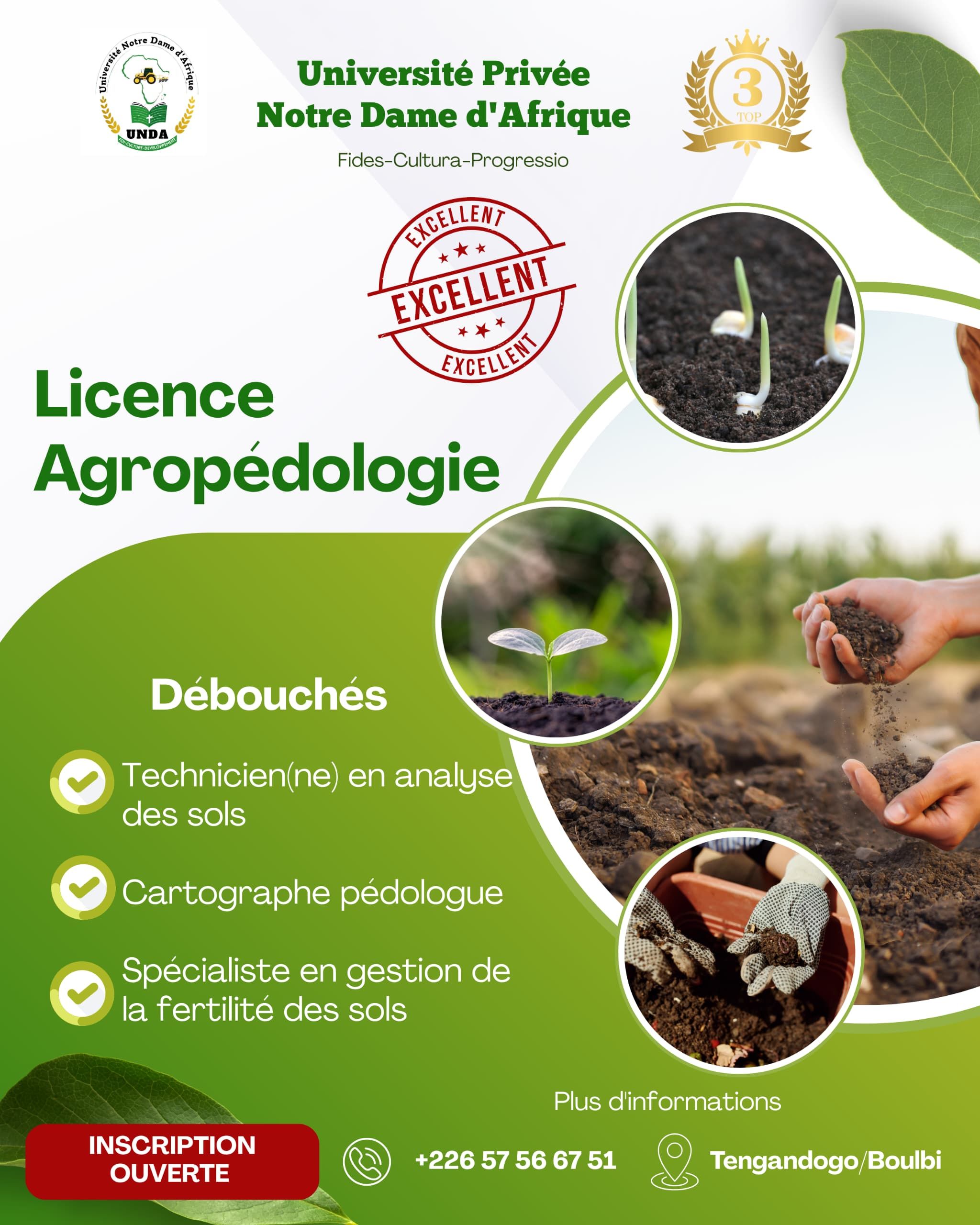 Odoo image et bloc de texte